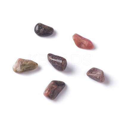 Natural Rhodonite Chip Beads G-M364-17-1