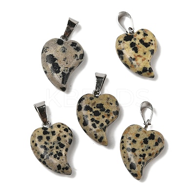 Natural Dalmatian Jasper Pendants G-B127-11P-02-1