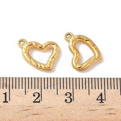 304 Stainless Steel Charms STAS-F320-06G-1