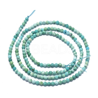 Natural HuBei Turquoise Beads Strands G-G792-38-1