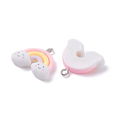 Opaque Resin Pendants RESI-F030-09-1
