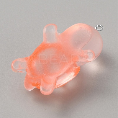 Luminous Resin Pendants JACR-TAC0003-04A-03-1