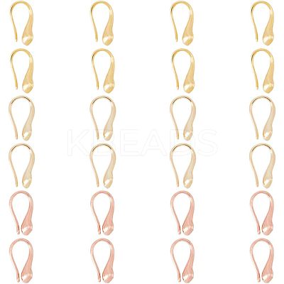 10 Pairs 2 Colors Rack Plating Brass Earring Hooks EJEW-FH0001-05-1