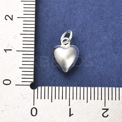 925 Sterling Silver Pendants LS-STER-P057-07C-S-1