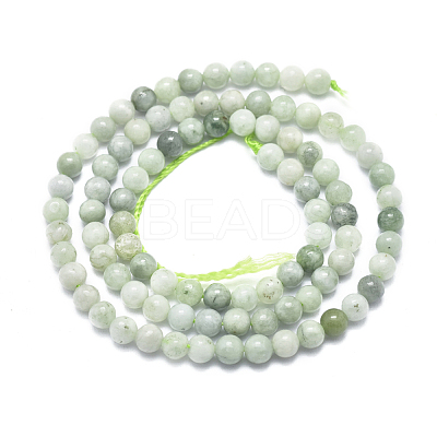 Natural Myanmar Jade/Burmese Jade Beads Strands G-D0001-08-4mm-1