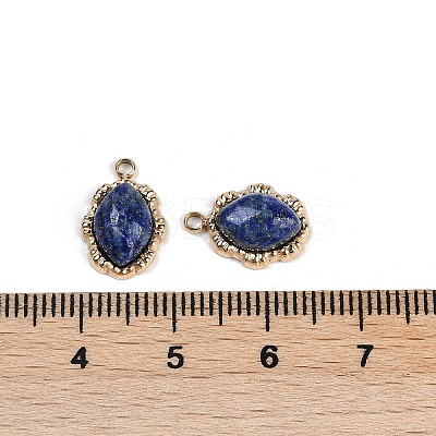 Natural Lapis Lazuli Oval Charms STAS-I325-144G-02-1