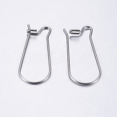 Tarnish Resistant 304 Stainless Steel Hoop Earrings STAS-L198-15A-P-1