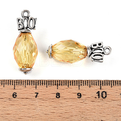 Transparent Acrylic Pendants SACR-N013-010A-RS-1