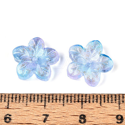 Baking Paint Transparent Glass Beads DGLA-N014-08B-02-1