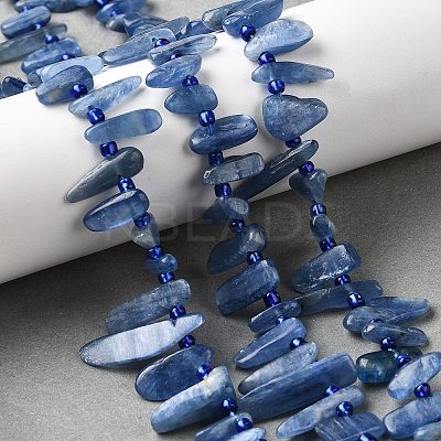 Natural Kyanite Beads Strands G-J403-02-1