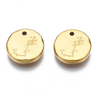 316 Surgical Stainless Steel Charms STAS-S116-418J-G-1