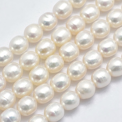 Natural Cultured Freshwater Pearl Beads Strands PEAR-K003-23D-01-1