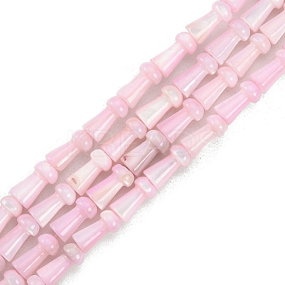 Natural Freshwater Shell Beads Strands SHEL-G013-02G-1