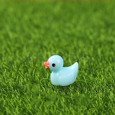 Mini Duck Resin Display Decorations FIND-SZC0013-350-1