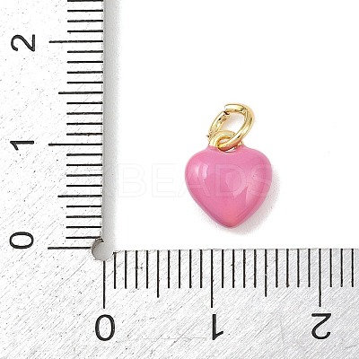 Brass Enamel Charms KK-P339-25G-03-1