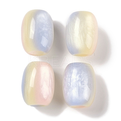 Triple Color Resin European Beads RESI-F055-13D-1