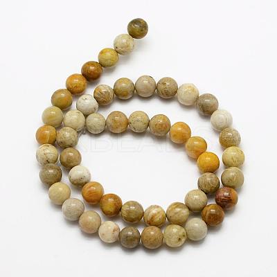 Natural Fossil Coral Beads Strands G-K194-4mm-05-1