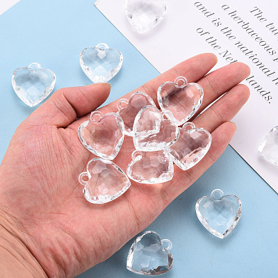 Transparent Acrylic Pendants X-TACR-T024-03B-205-1