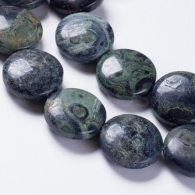 Natural Kambaba Jasper Beads Strands G-K267-03A-1