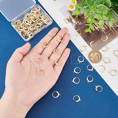 100Pcs 304 Stainless Steel Leverback Earring Findings STAS-PH0004-83-1