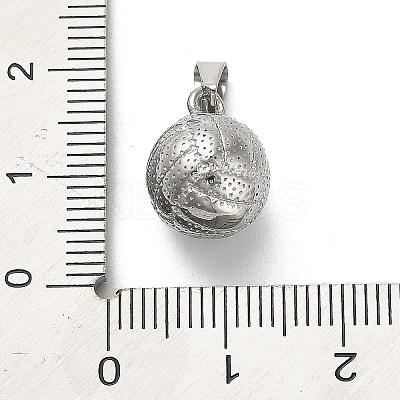 304 Stainless Steel Charms STAS-Q343-09P-1