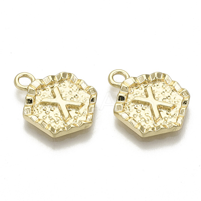 Alloy Pendants PALLOY-N157-003X-NR-1