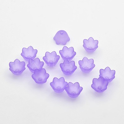 Transparent Acrylic Beads LS-X-FACR-R017-01-1