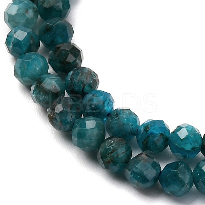 Natural Apatite Beads Strands G-A276-C08-4mm-02-1