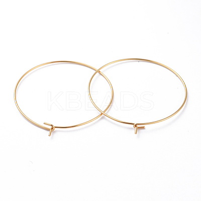 316 Surgical Stainless Steel Hoop Earring Findings X-STAS-J025-01E-G-1