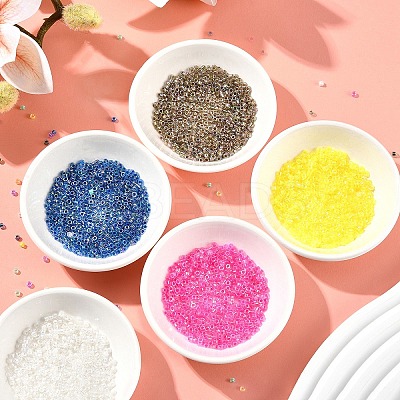 10G Glass Seed Beads SEED-YW0003-10A-1