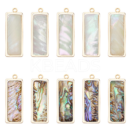 10Pcs 2 Styles Natural Paua Shell Pendants KK-WR0001-71-1