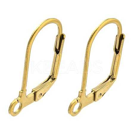 Ion Plating(IP) 304 Stainless Steel Leverback Earring Findings LS-STAS-P360-02B-G-1