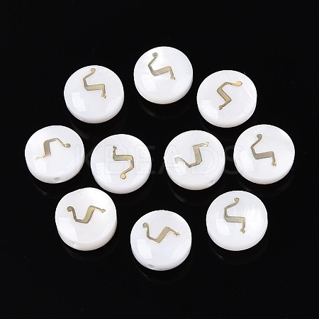 Natural Freshwater Shell Beads BSHE-ZX007-03G-1