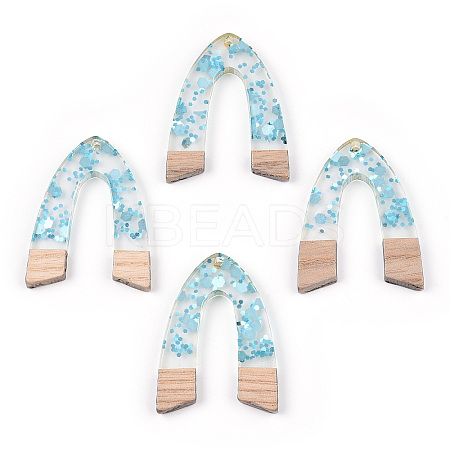 Transparent Resin & White Wood Pendants RESI-N039-53-1