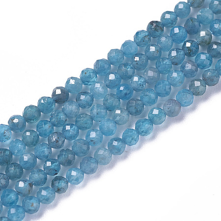 Natural Apatite Beads Strands G-F596-29-3mm-1