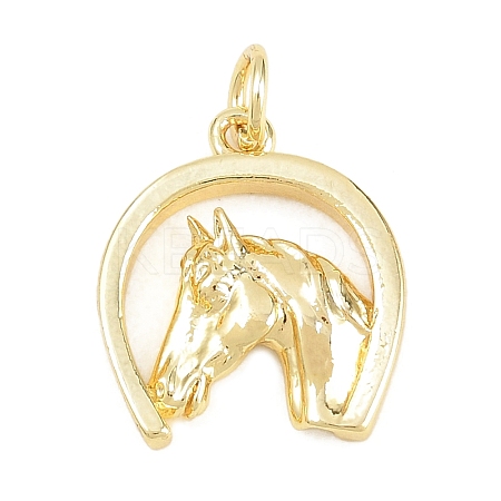 Brass Pendants KK-D258-29G-1