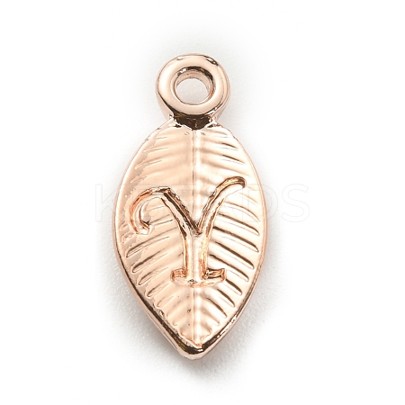 Alloy Pendants FIND-TAC0011-69Y-RG-1