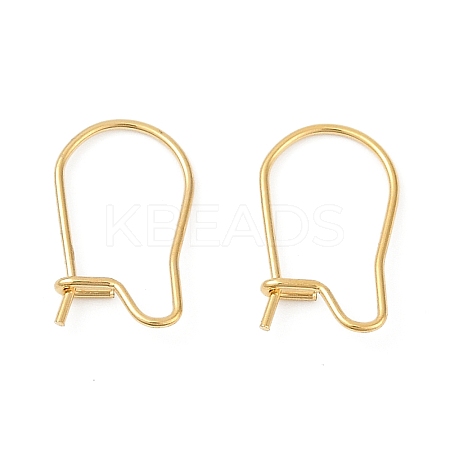 304 Stainless Steel Hoop Earring Findings STAS-P223-01G-06-1