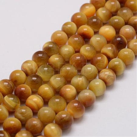 Natural Tiger Eye Bead Strands G-P230-08-E-8mm-1