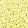 Baking Paint Glass Seed Beads X1-SEED-B001-02A-13-3