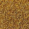 MIYUKI Delica Beads SEED-MY11-DB2157-3