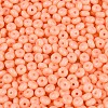 Opaque Glass Seed Beads SEED-N012-09A-10-3