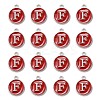 Platinum Plated Alloy Enamel Charms X-ENAM-S118-03F-P-2