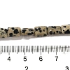 Natural Dalmatian Jasper Beads Strands G-G085-A13-01-4