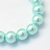 Baking Paint Pearlized Glass Pearl Round Bead Strands HY-Q003-10mm-45-2