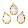 Ion Plating(IP) 304 Stainless Steel Pave Natural Shell Charms STAS-Z100-01G-01-1