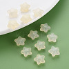 Transparent Acrylic Beads MACR-S373-26E-11-6