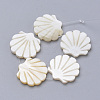 Natural Freshwater Shell Beads SHEL-T007-02-1