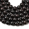 Natural Garnet Gemstone Bead Strands X-G-R263-10mm-3