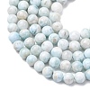 Natural Larimar Beads Strands G-B156-A01-6mm-01-4